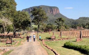 Turistas podem visitar a primeira vinícola de MS