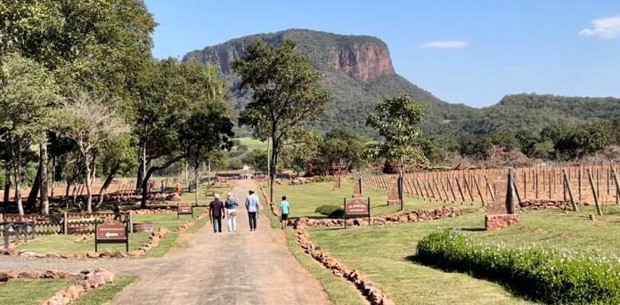 Turistas podem visitar a primeira vinícola de MS