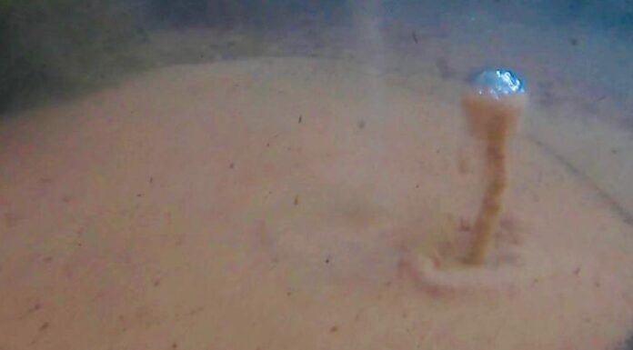 Lagoa Santa é o fervedouro de MS