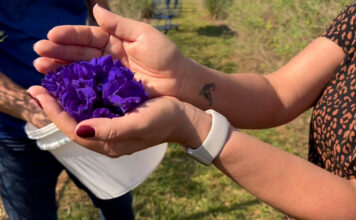 Turismo de experiência na plantação da Flor da Fada Azul