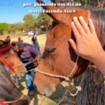 17986067927259135_caminhos67