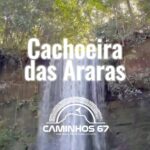 17944976693640562_caminhos67