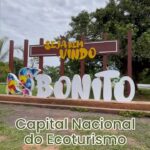 18000896372120384_caminhos67