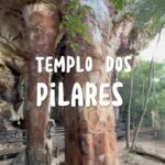 18011998762905200_caminhos67
