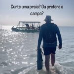17985559529436066_caminhos67