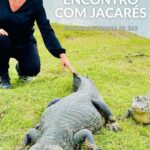 18030358438873355_caminhos67