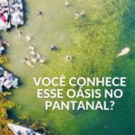 18042868105722416_caminhos67