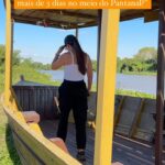 17909267276970858_caminhos67