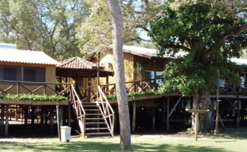 Jungle Lodge: aventura e gastronomia no coração do Pantanal