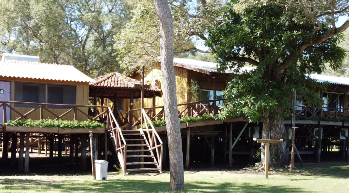 Jungle Lodge: aventura e gastronomia no coração do Pantanal