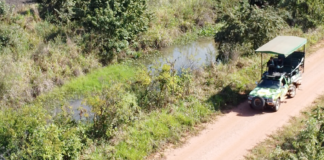 Pantanal em um dia na Fazenda San Francisco