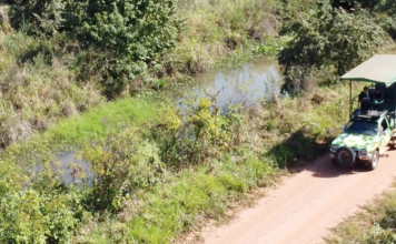 Pantanal em um dia na Fazenda San Francisco