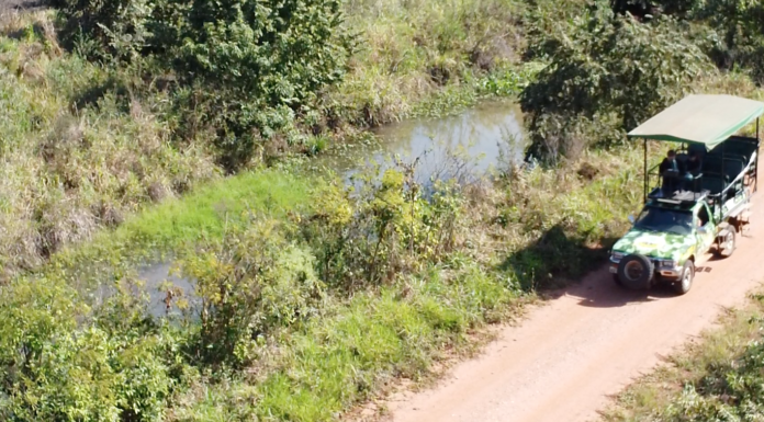 Pantanal em um dia na Fazenda San Francisco