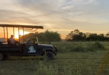 Pousada Pequi um encontro entre a natureza e a hospitalidade