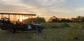Pousada Pequi um encontro entre a natureza e a hospitalidade