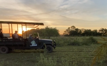 Pousada Pequi um encontro entre a natureza e a hospitalidade
