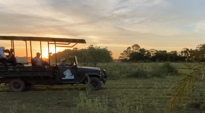 Pousada Pequi um encontro entre a natureza e a hospitalidade
