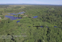 Descubra um refúgio no meio do Pantanal