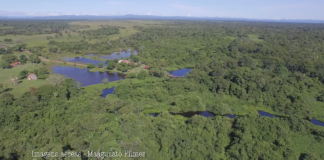 Descubra um refúgio no meio do Pantanal