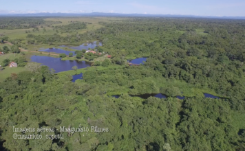 Descubra um refúgio no meio do Pantanal