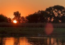Descubra o luxo e magia do Pantanal na Fazenda Baia das Pedras