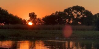 Descubra o luxo e magia do Pantanal na Fazenda Baia das Pedras