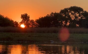 Descubra o luxo e magia do Pantanal na Fazenda Baia das Pedras
