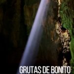 18085325671505531_caminhos67
