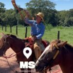 17857756827379366_caminhos67