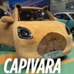 17973286304853365_caminhos67