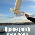 18101705024293081_caminhos67