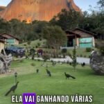 17965845560924821_caminhos67